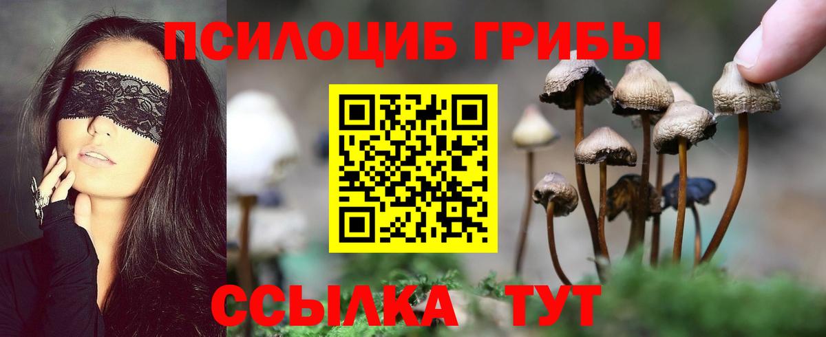 Нововоронеж  Галлюциногенные грибы Psilocybe  Вход с VPN  купить наркоту  Галлюциногенные грибы Cubensis 