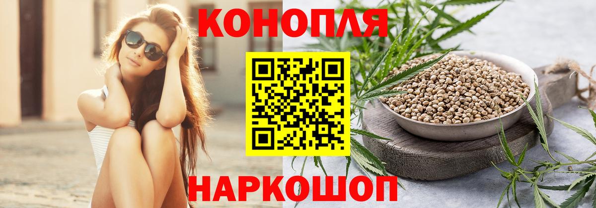 Канабис Bruce Banner  Канабис White Widow  Нововоронеж  Вход с VPN  Канабис White Widow 
